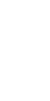 Warrior